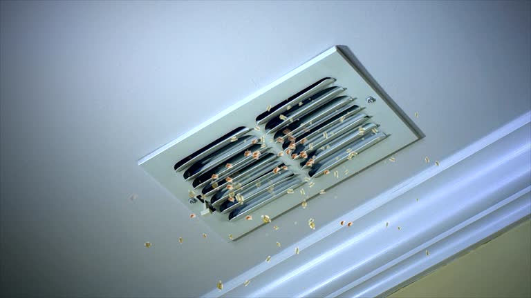 Best Local Air Duct Cleaning Services  in New Berlin, IL