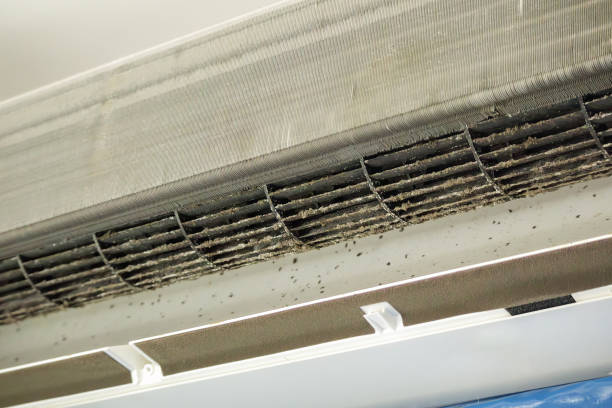Best HVAC System Cleaning  in New Berlin, IL